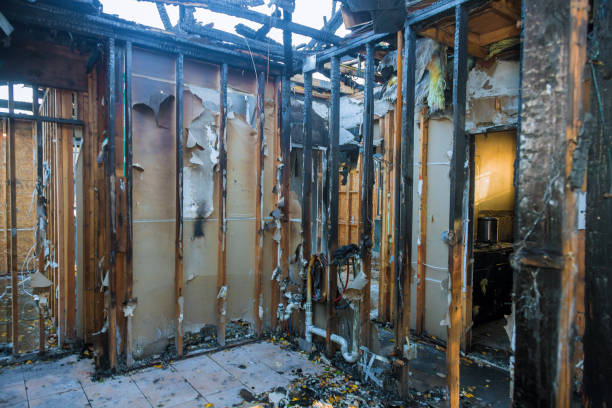 Professional Fire Damage Removal technician working in Hamburg, PA